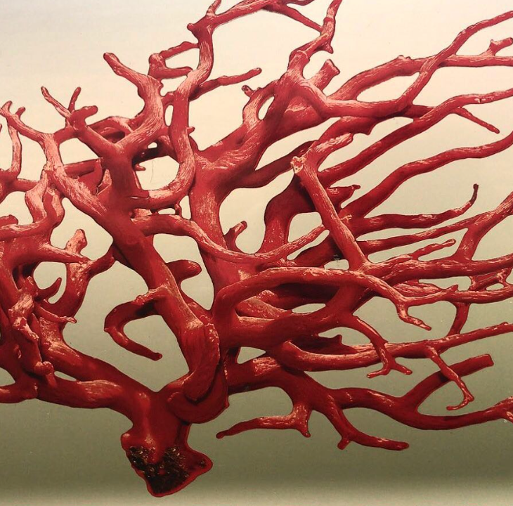 corail 