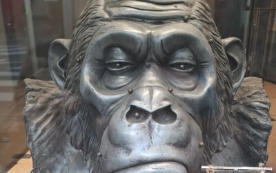 BEAUTIFUL ACCIDENT – quand la joaillerie accepte l’inattendu